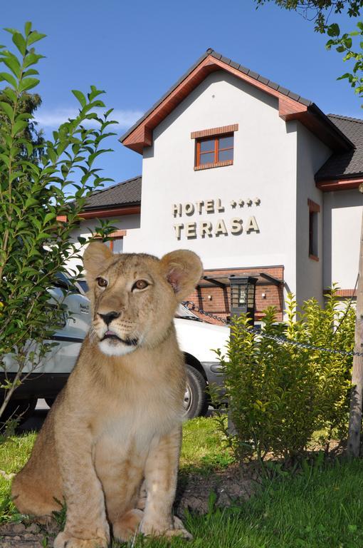 Hotel Terasa Frýdek-Místek Eksteriør bilde